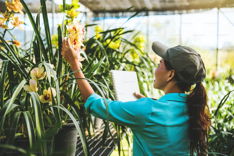 Hydroponic care of orchids