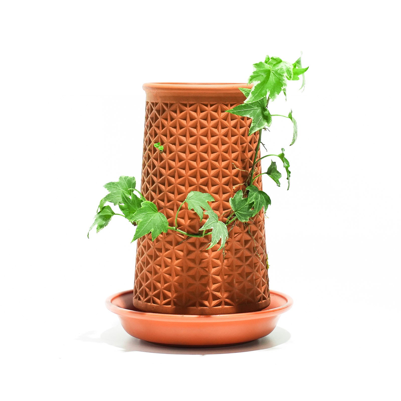 Forrora Air - Terracotta Crafted Hangable Gift-Ready DIY Hydroponic Planter