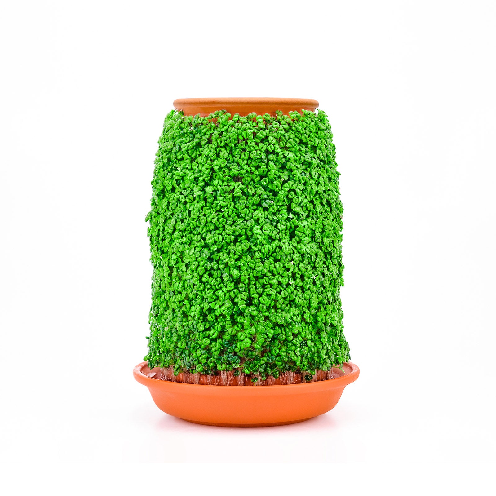 Forrora Air - Terracotta Crafted Hangable Gift-Ready DIY Hydroponic Planter